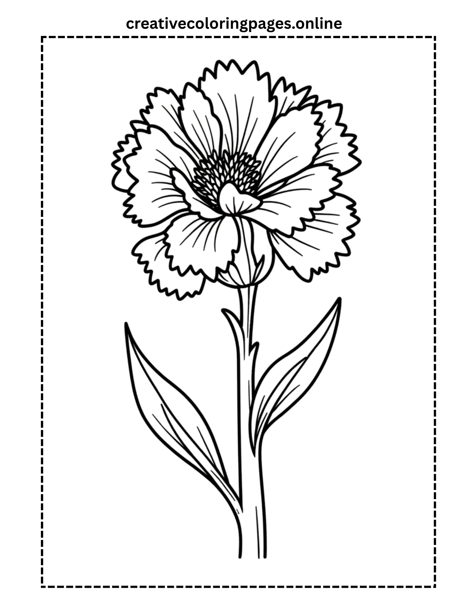 Carnation Flower Coloring Page - Detailed Floral
