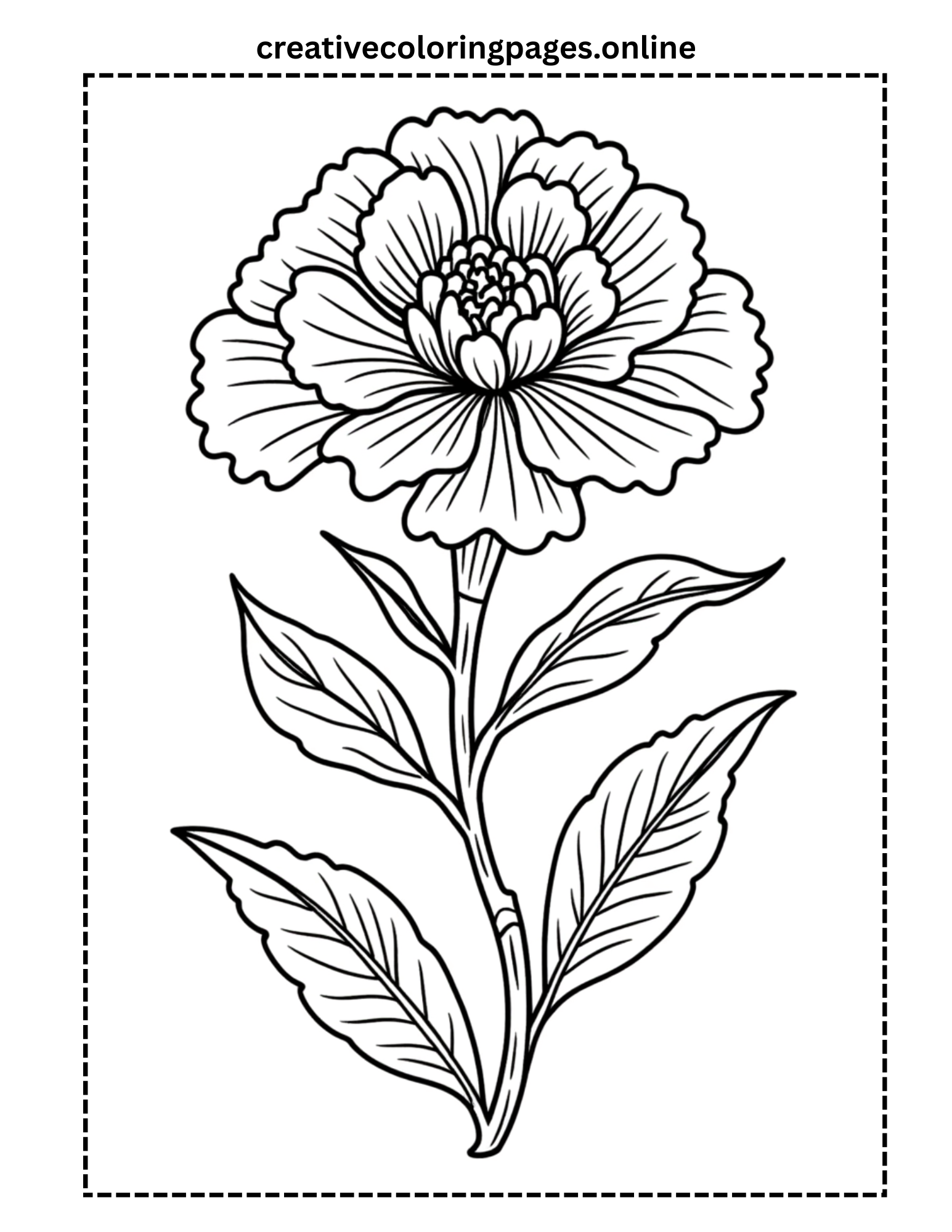 Carnation Flower Coloring Page - Detailed Botanical - Image 1