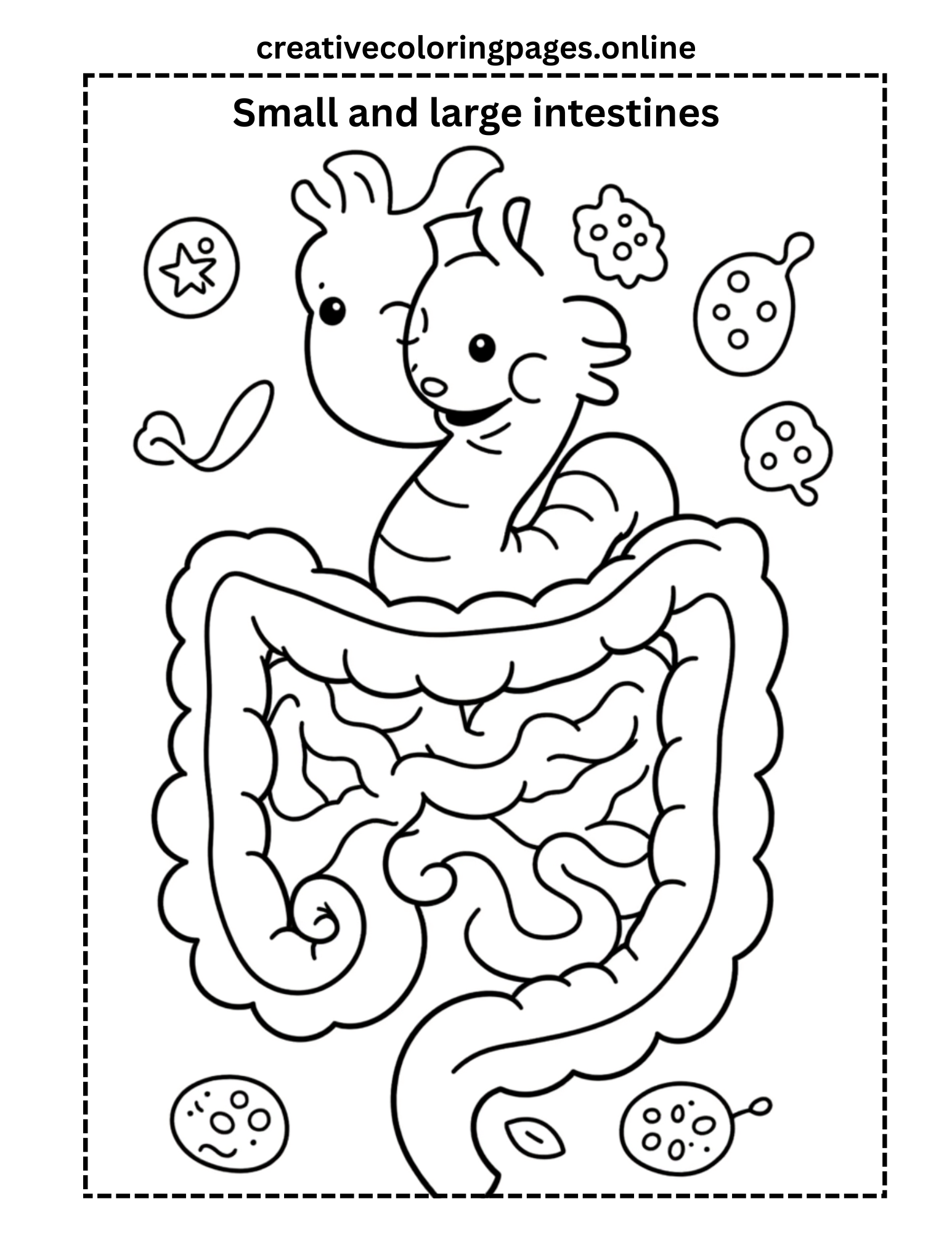 Small and Large Intestines Coloring Page