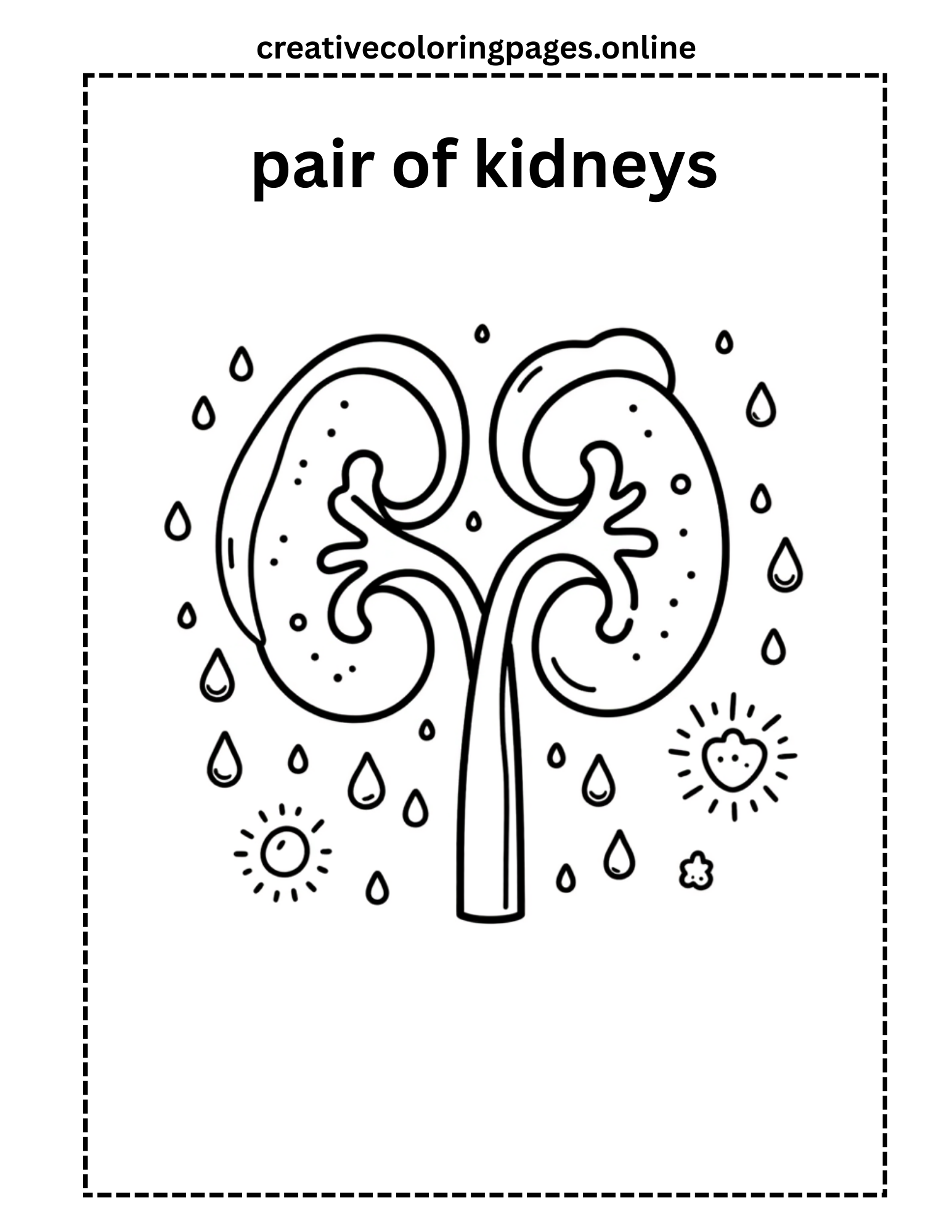 Pair of Kidneys Human Body Coloring Page