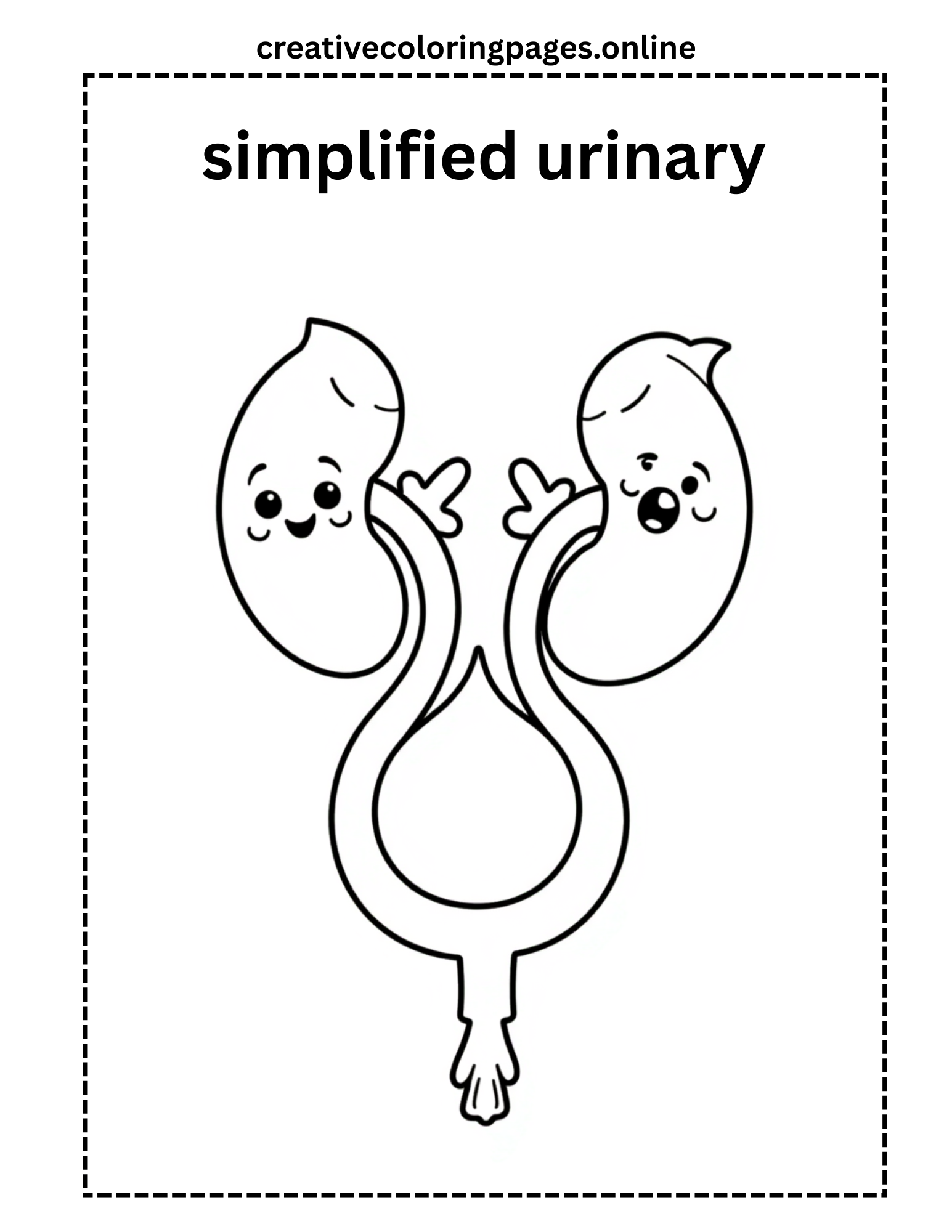 Urinary System Coloring Page Free Printable Kids