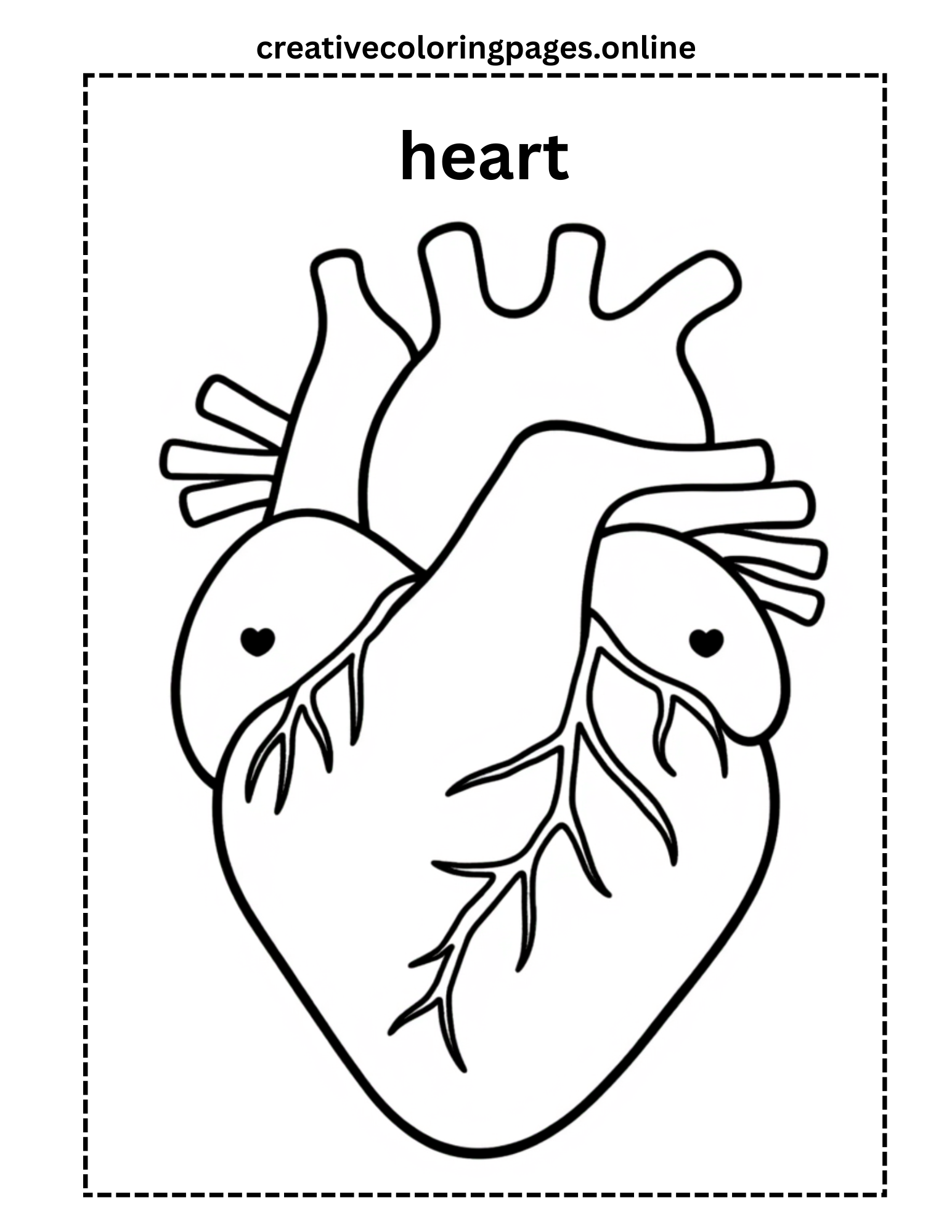 Human Heart Anatomy Coloring Page