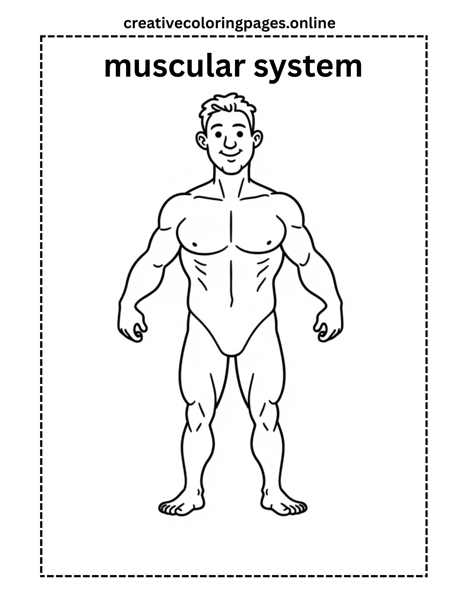 Muscular System Coloring Page Free Printable Kids